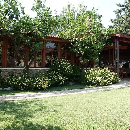 אכסניה Dalyan Pension