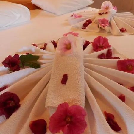 אכסניה Dalyan Pension