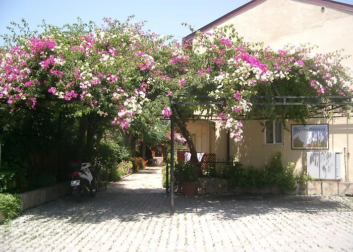 Orman Evi Dalyan Pansiyon Dalyan
