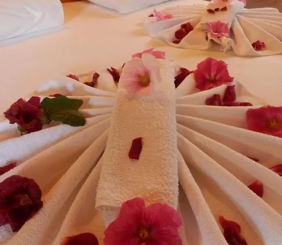 Lodge Dalyan Pension