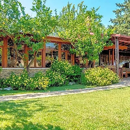 롯지 Dalyan Pension 달리안