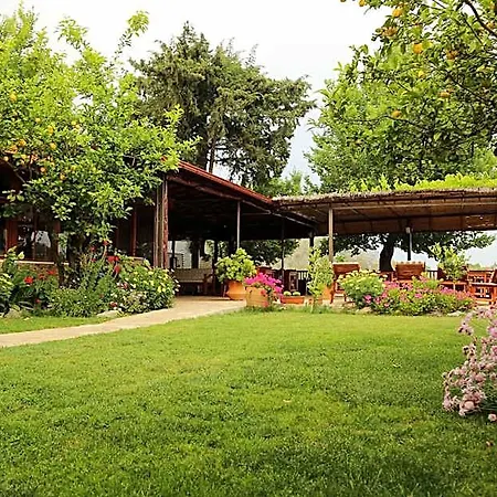 롯지 Dalyan Pension *