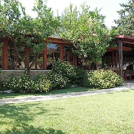 Dalyan Pension * 달리안
